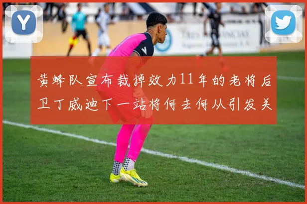 黄蜂队宣布裁掉效力11年的老将后卫丁威迪下一站将何去何从引发关注