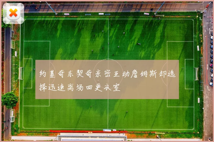 约基奇东契奇亲密互动詹姆斯却选择迅速离场回更衣室